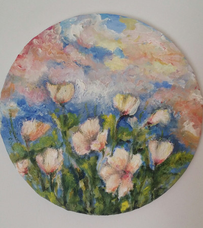 Lathyrus odoratus
