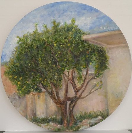 lemon-tree3.jpeg