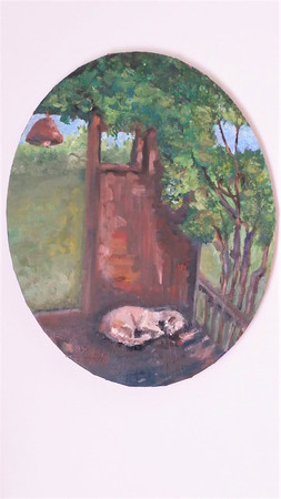 sleeping dog