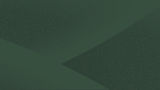graphic-texture-bg-dark-green-2.jpg