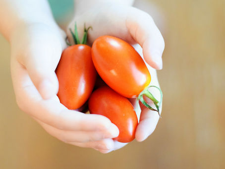 Carrying three tomatoes