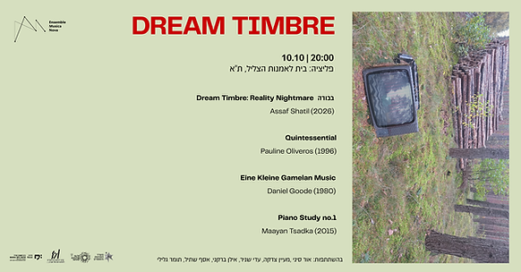 DREAM TIMBRE-wide2-octonly.png