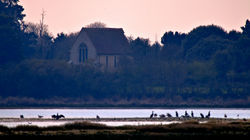 Across the harbour to Church Norton