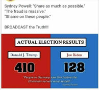 Actual Election Results 2020