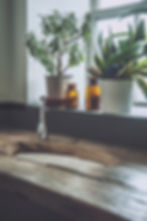 Houseplants on windowsill. 