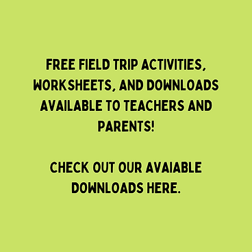 HOVER BOXES - SERVICES (1).png