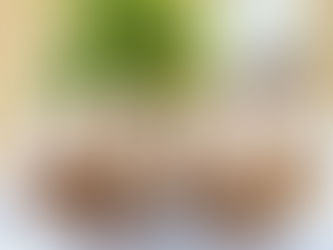 ハニーマスタードタルタルソースのササミカツ👆click