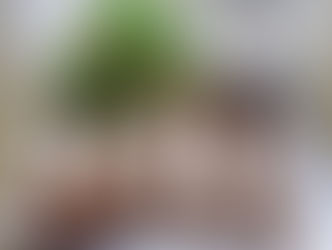 胡桃（くるみ）タルタルソースのササミカツclick👆