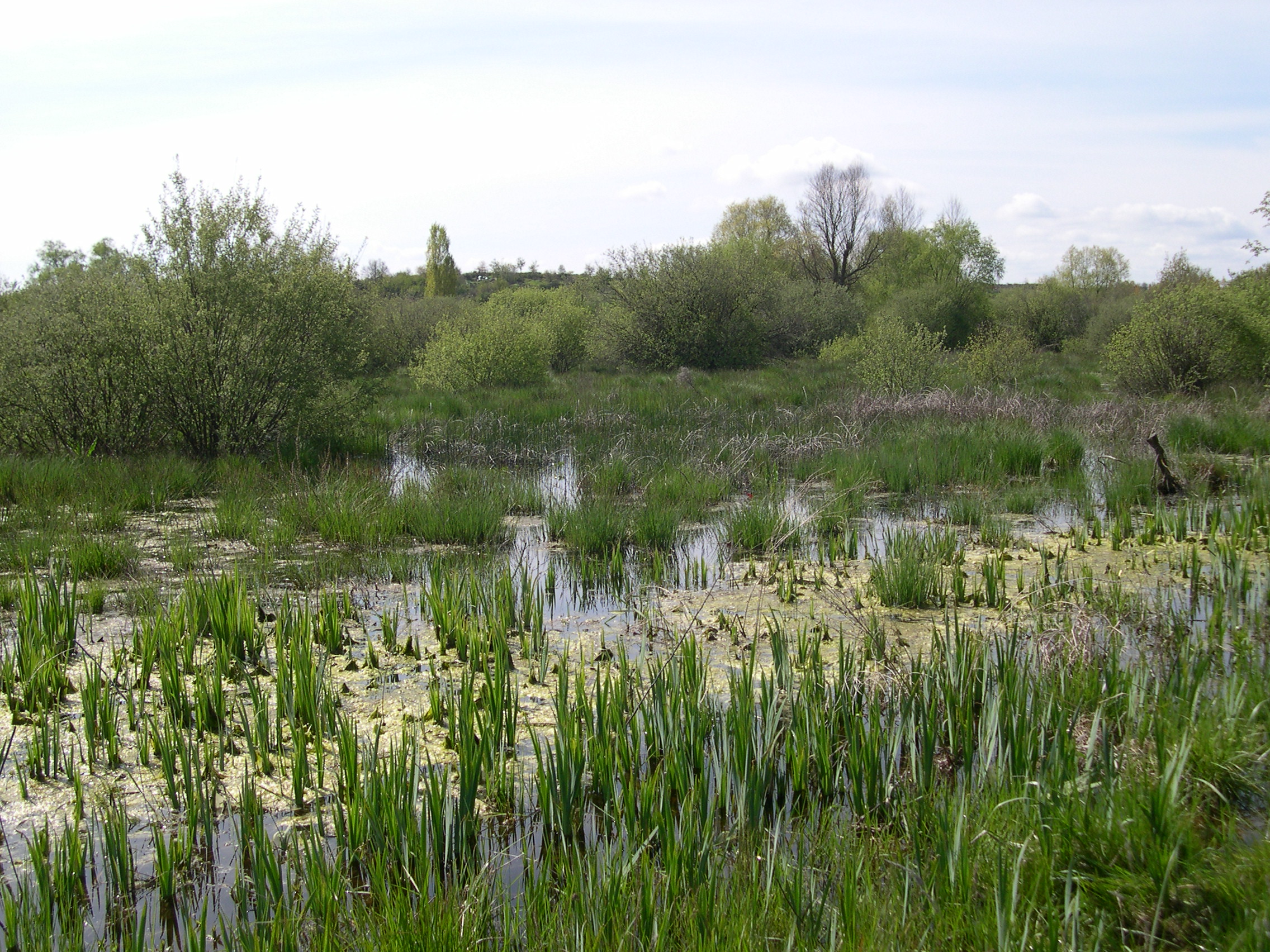 Lac de Lorlanges