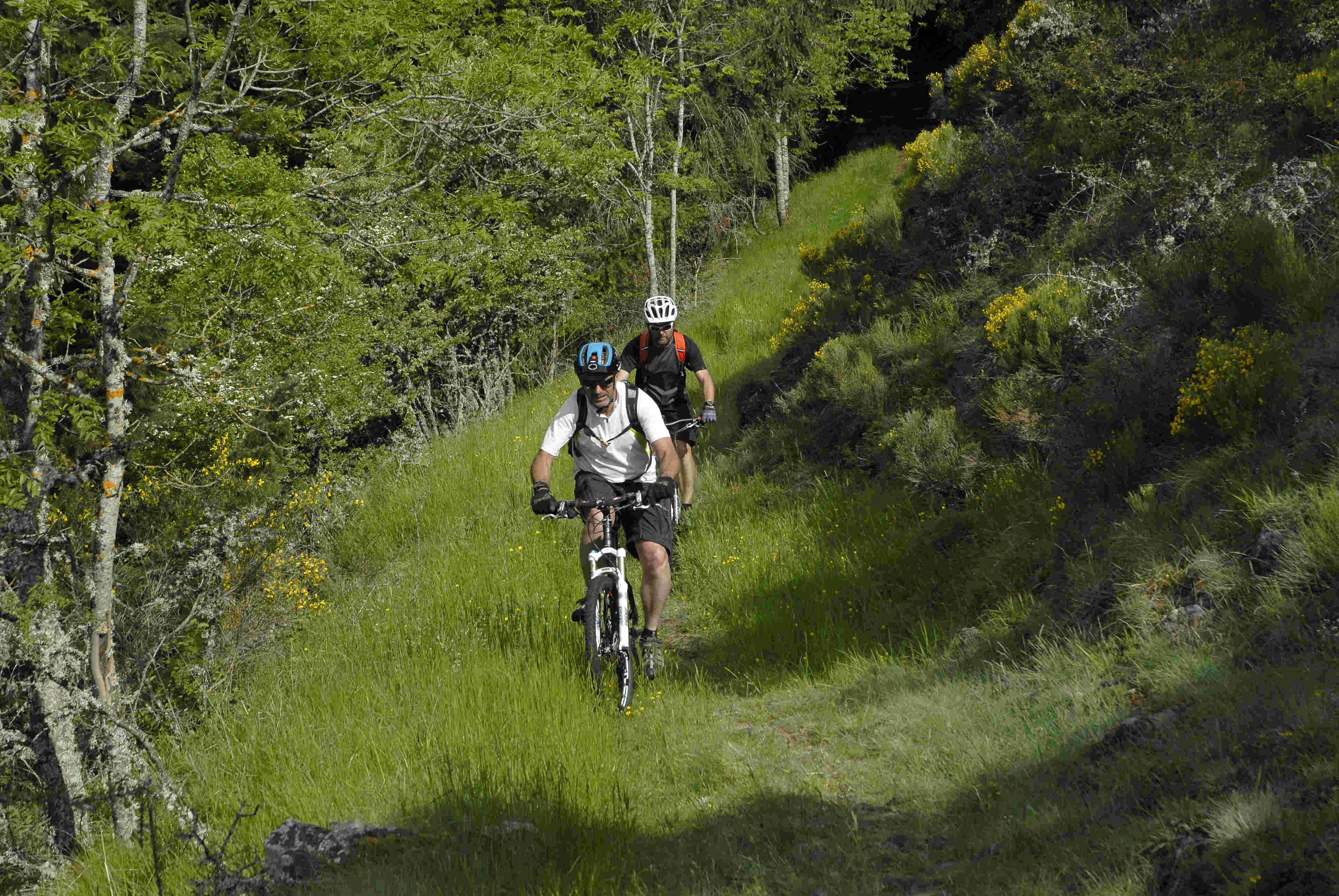 Espace VTT Pays d'Auzon