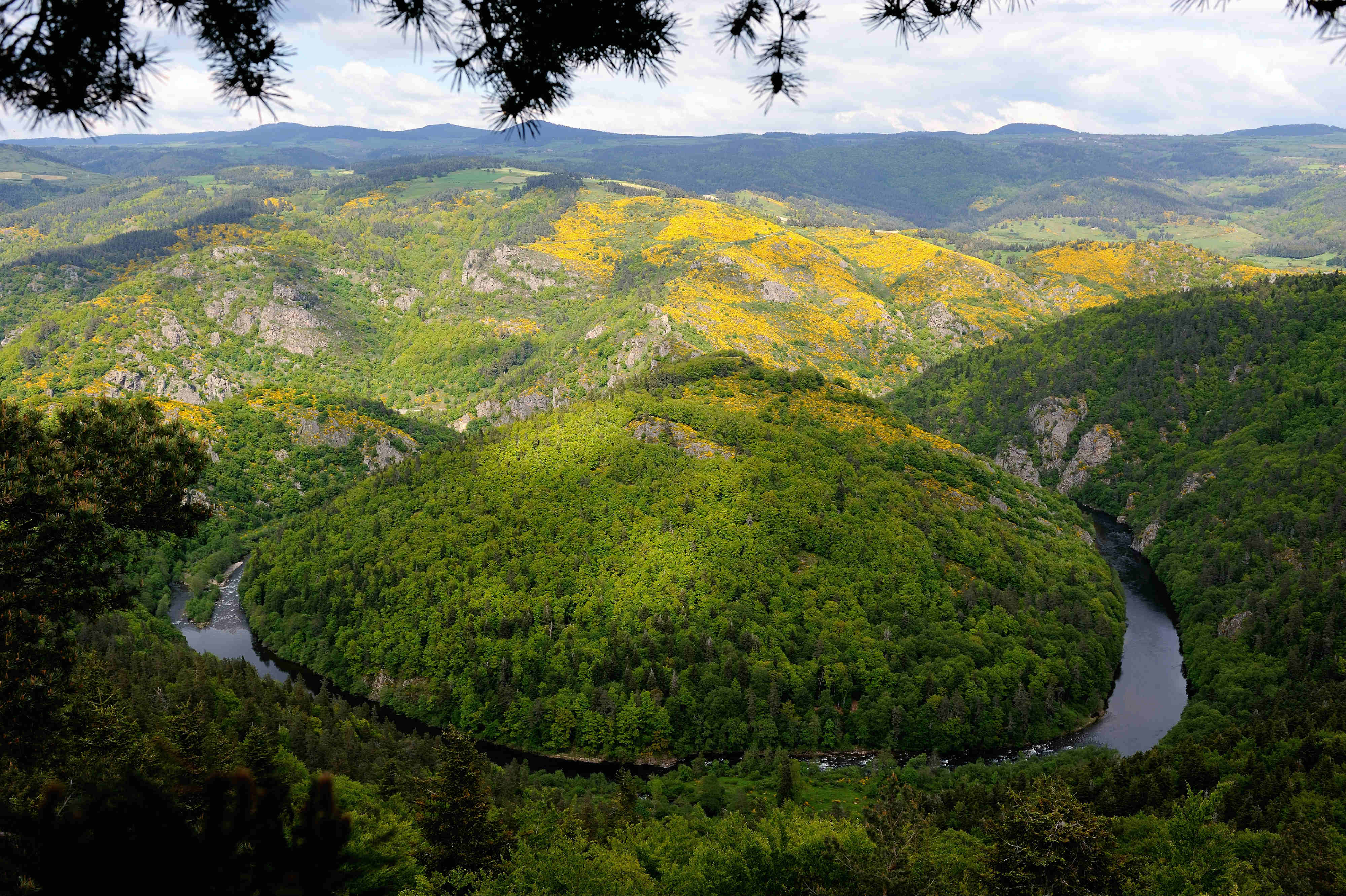 Office De Tourisme Intercommunautaire Des Gorges De L Allier