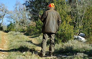 hunting-583086_1920.jpg