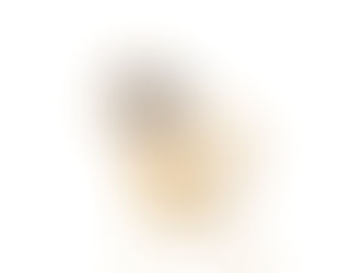 Zahn-Z: Couture 2024 Designer to Watch