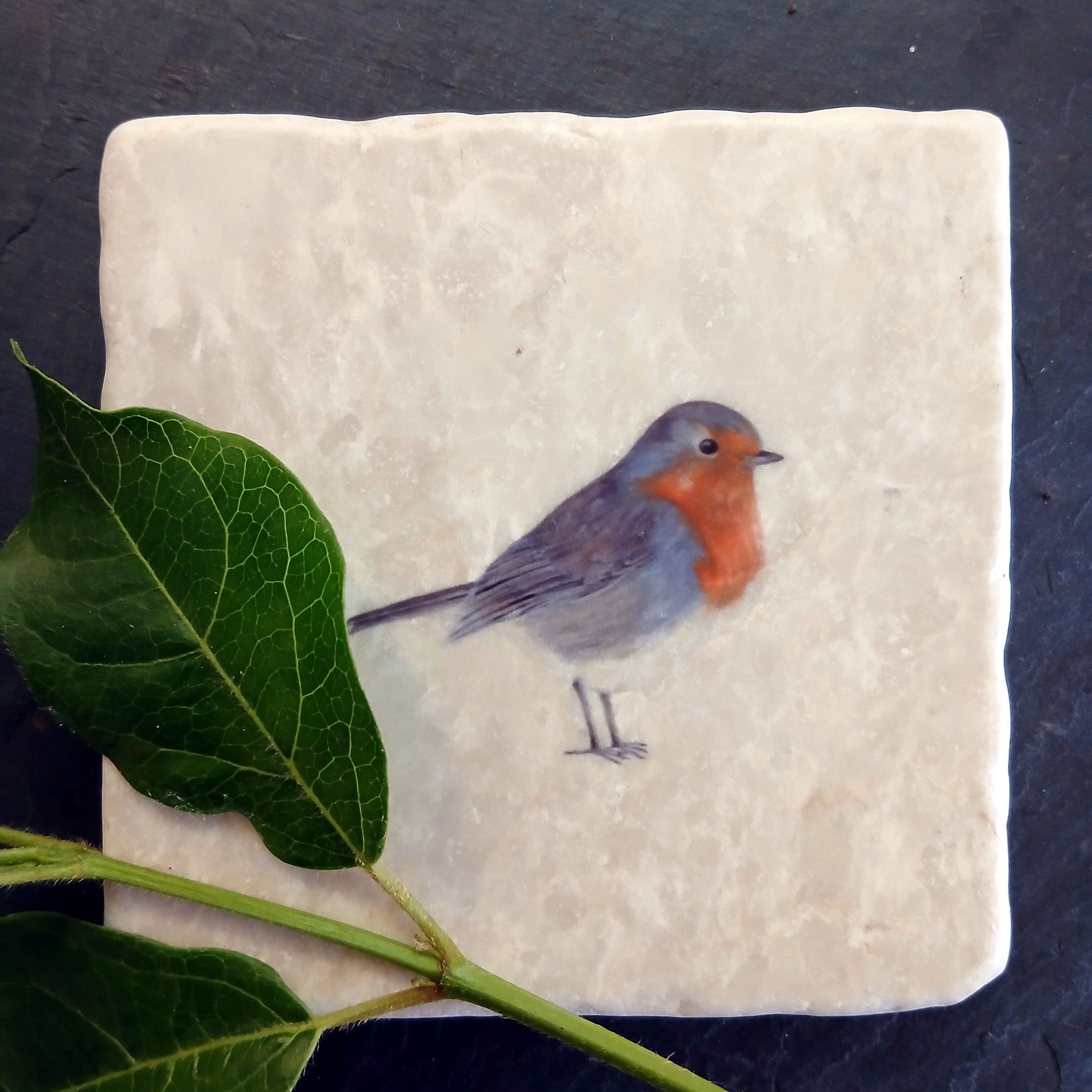 Marble Coasters in Robin