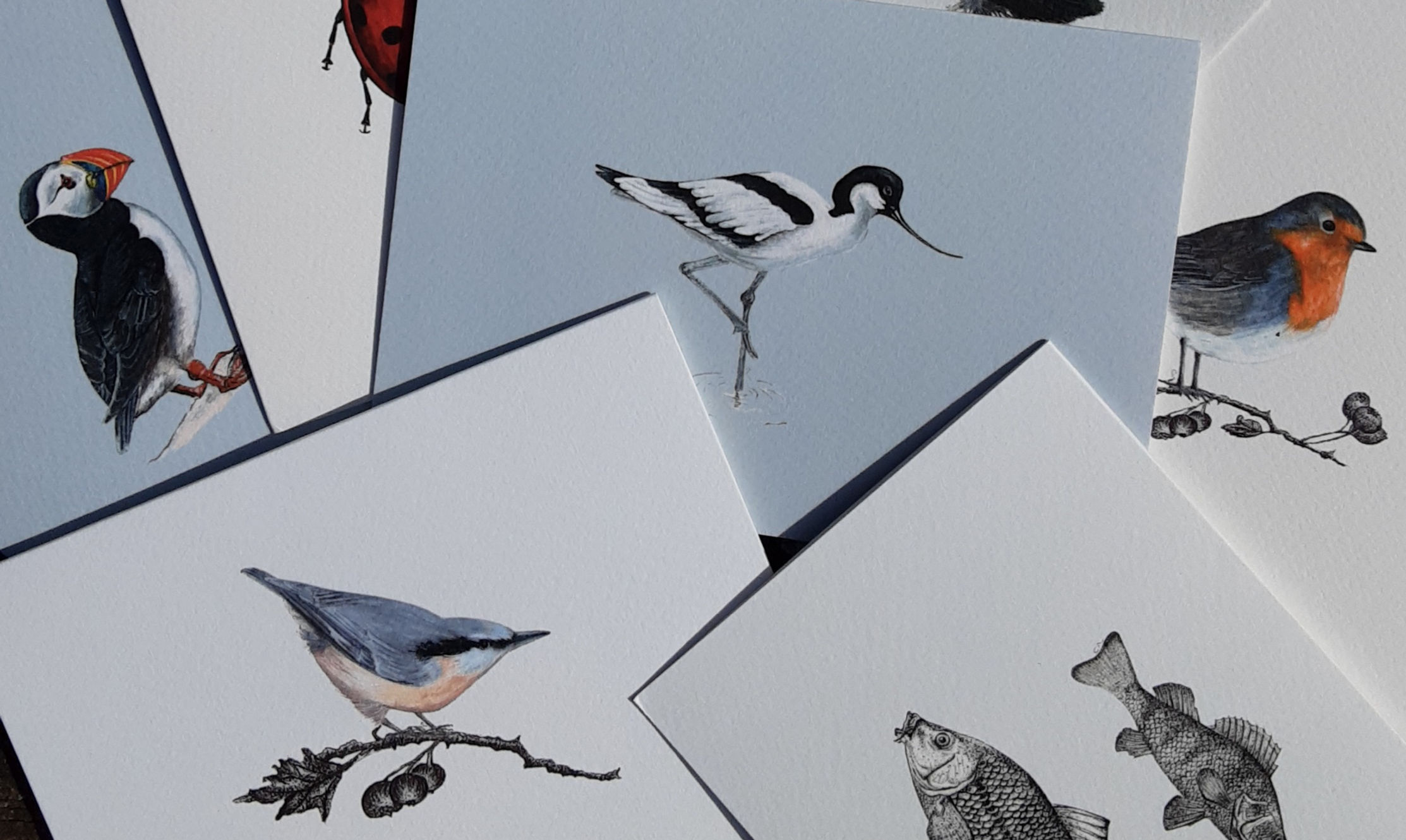 10 FREE* A6 Cards