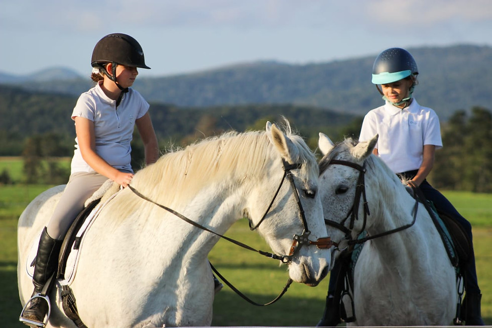 Thumbnail: Pony Camp