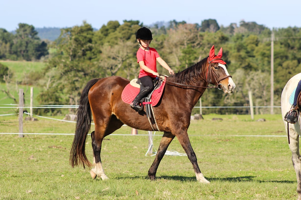Thumbnail: Pony Camp