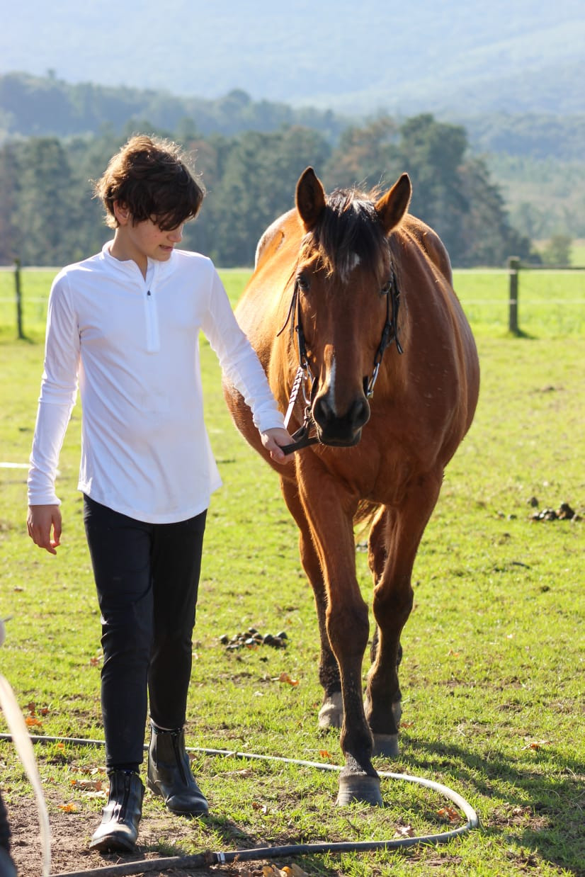 Thumbnail: Pony Camp