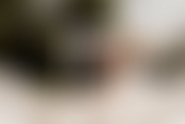 Freie Trauung im Landgasthof Voltmer - Hochzeitsfotograf Celle