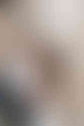 Hochzeitsfotoshooting in Christiansfeld