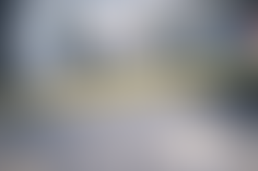 FROM MEDIATION TO ELIMINATION: WHEN DISPUTE RESOLUTION TURNS DEADLY