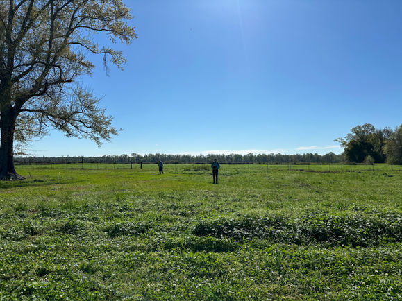 uuid=65C1B86C-544E-4FB5-87D2-7C4504CD1242&library=1&type=1&mode=1&loc=true&cap=true