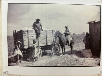 uuid=40A9EA45-9774-410F-96D6-22EC6118BA0A&library=1&type=1&mode=1&loc=true&cap=true