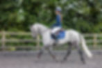 Thumbnail: Heart Horse Rhinestone Numnah GP