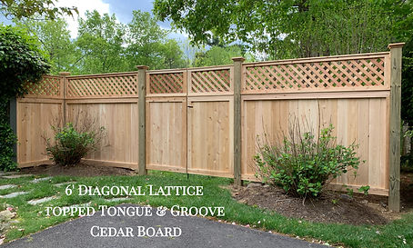 IMG_3973~photo copy_edited.jpg