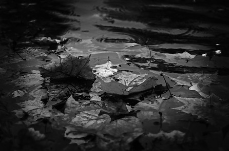 hannah-domsic-549198-unsplash.jpg