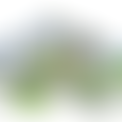 B. Arch and B. Planning Differences