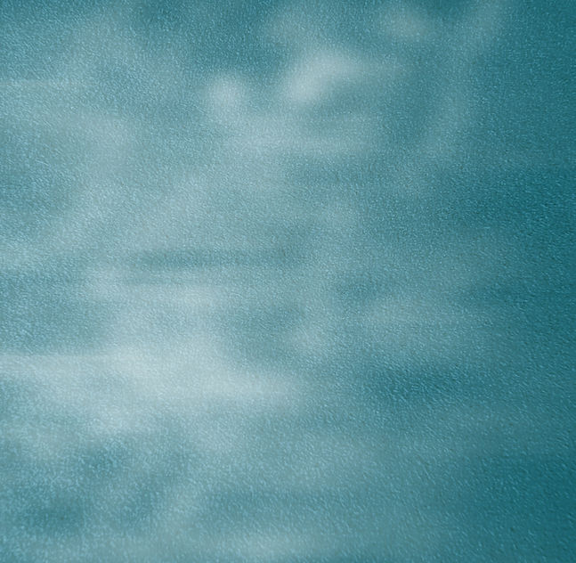Textured Green Background_edited_edited.jpg