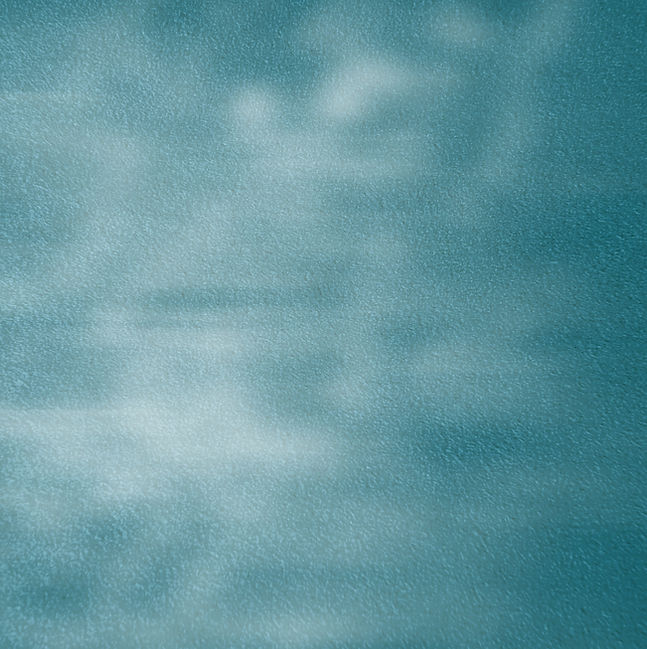 Textured Green Background_edited_edited.jpg