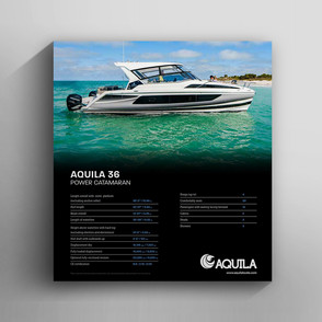 Mango_Graphic_Design_Branding_Project_Aq