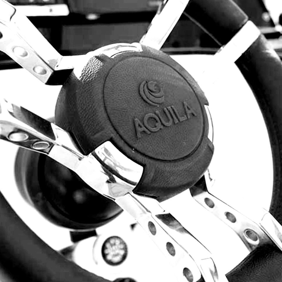 aquila logo on steering wheel