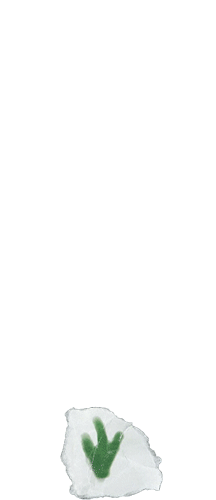 2-Daffodil.gif