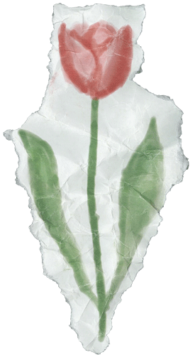 1-Tulip.gif