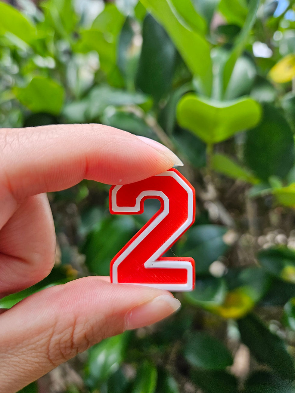 Thumbnail: 3D Printed Numbers for Helmets