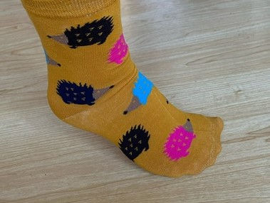 Thumbnail: Hedgehog Socks