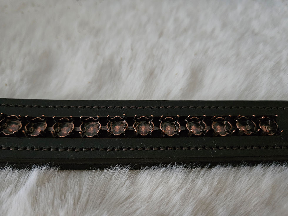 Miniaturbild: Hundehalsband Strass, Hundehalsband Leder