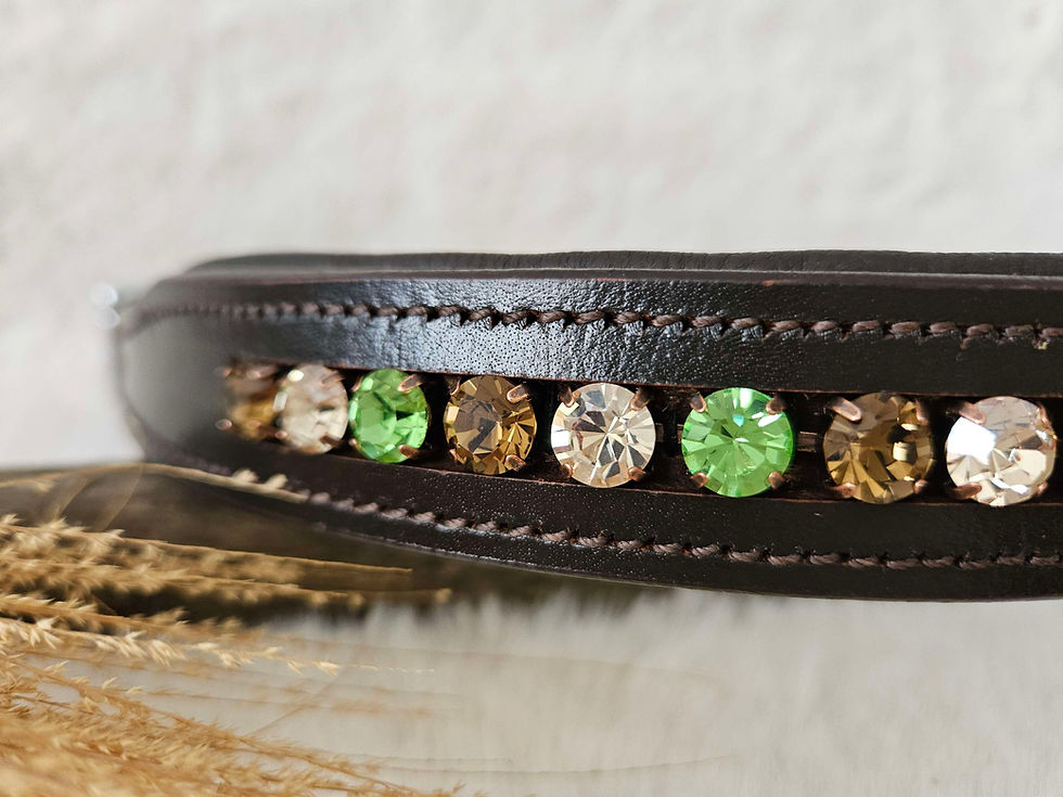 Miniaturbild: Hundehalsband Strass, Hundehalsband Leder