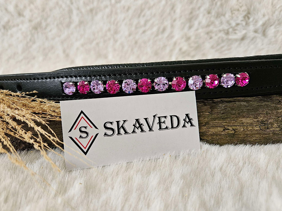 Miniaturbild: Strass Hundehalsband aus Leder. Mit einer Breite von 2,5cm ist es gut für kleinere Hunde geeignet.