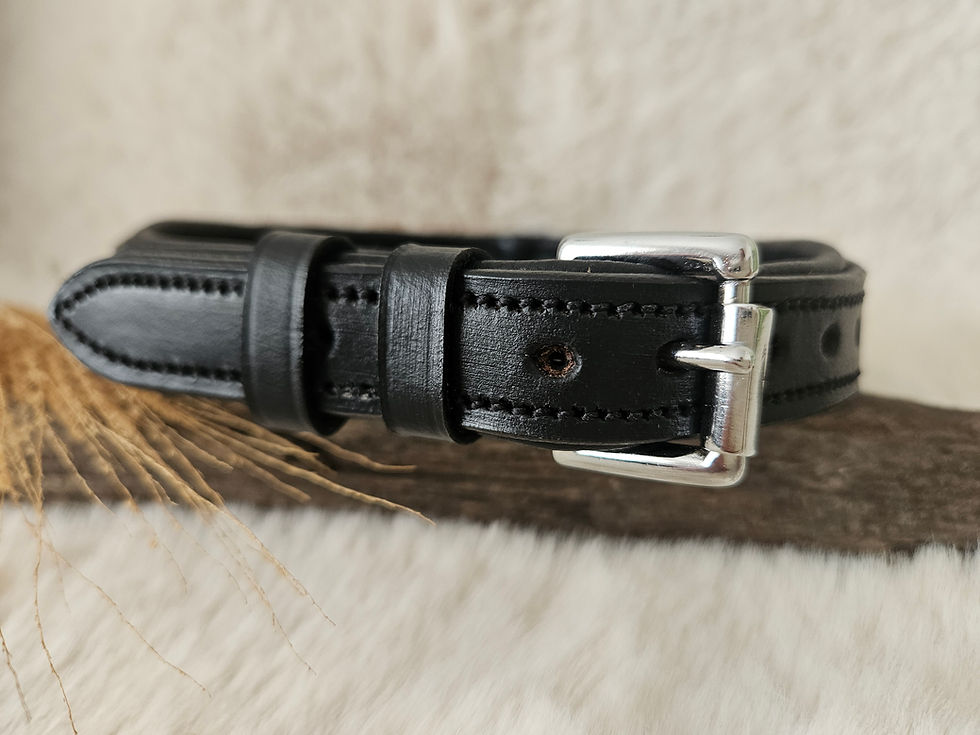 Miniaturbild: Hundehalsband Strass, Hundehalsband Leder