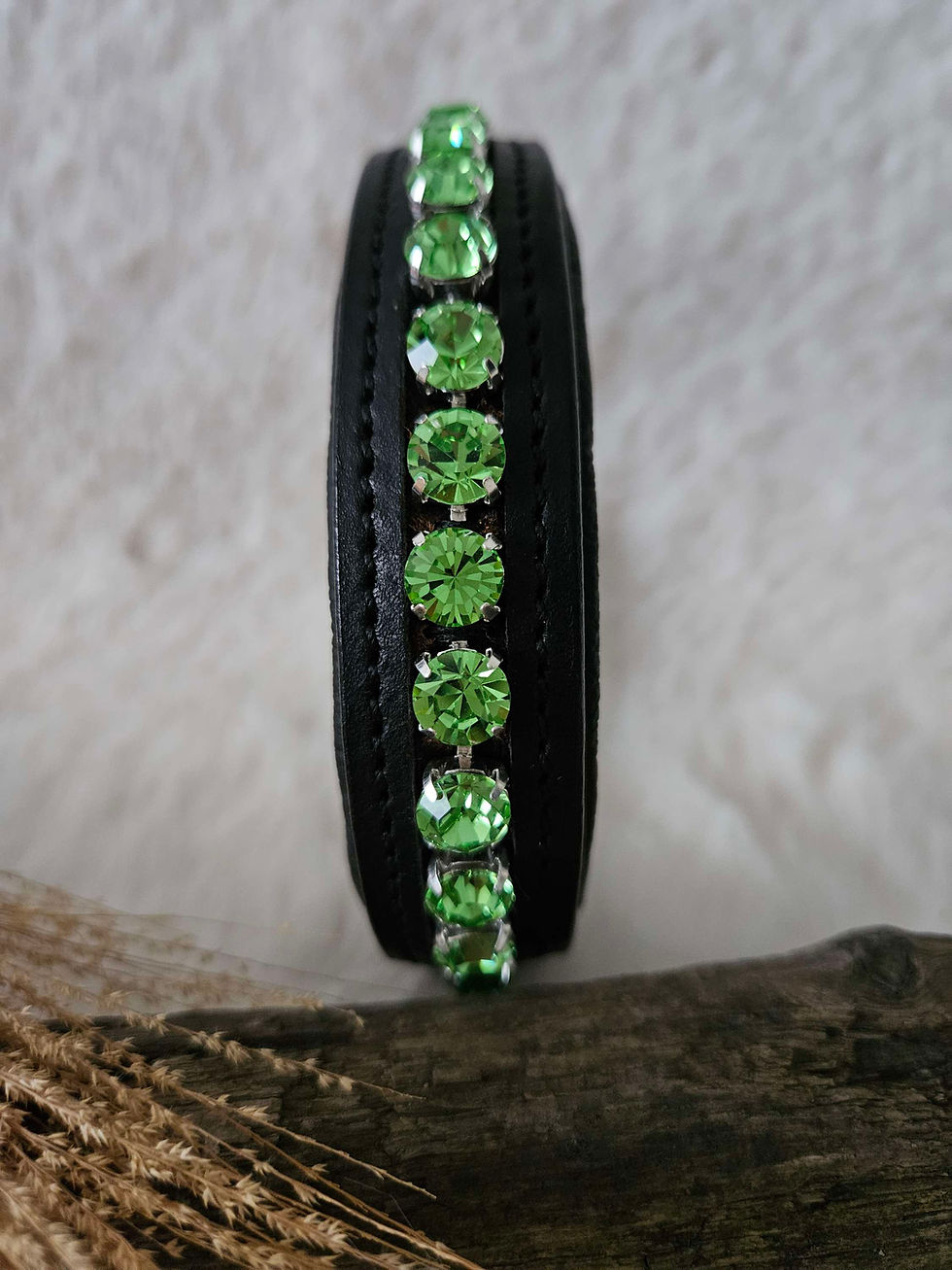 Miniaturbild: Strass Hundehalsband aus Leder. Mit einer Breite von 2,5cm ist es gut für kleinere Hunde geeignet.