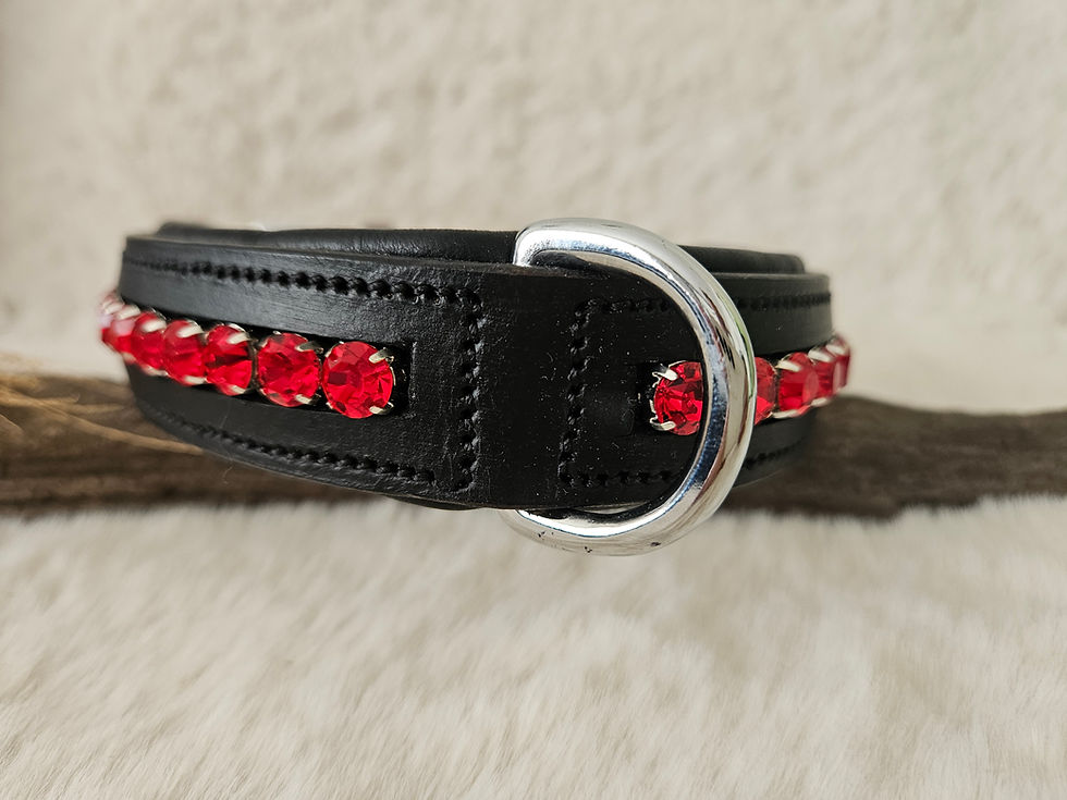 Miniaturbild: Hundehalsband Strass, Hundehalsband Leder