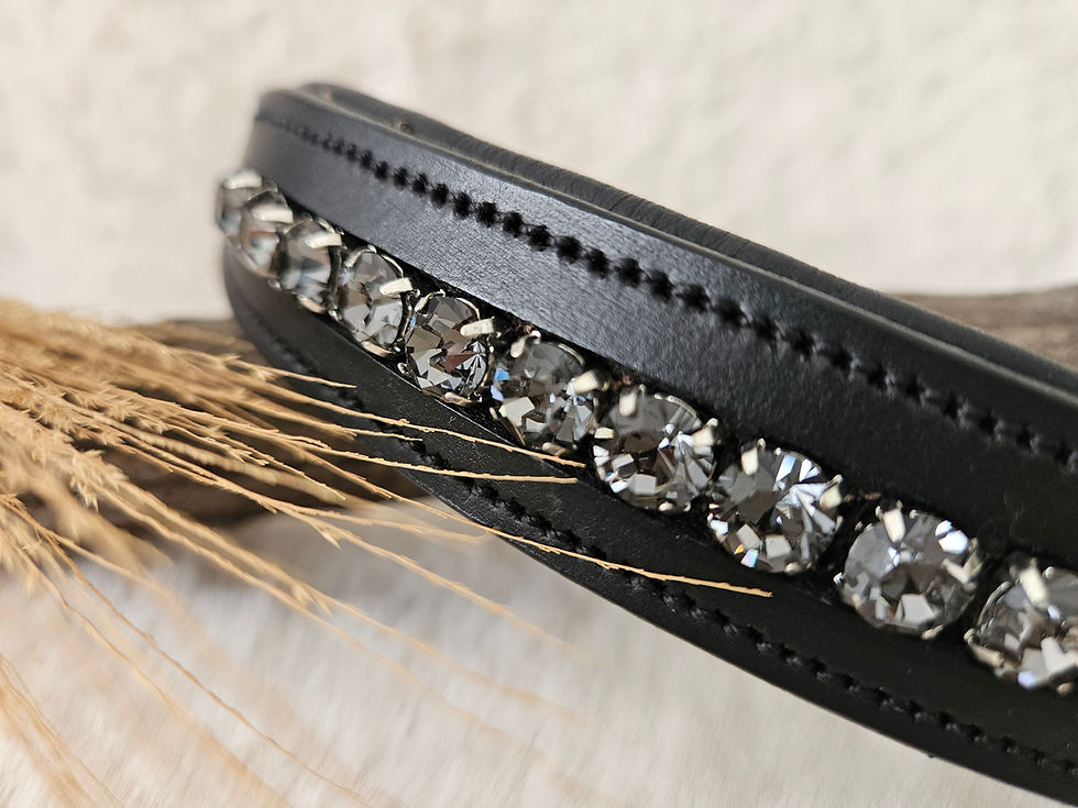 Miniaturbild: Strass Lederhalsband