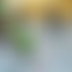 3-Spiel-Plauschturnier in Eschenbach