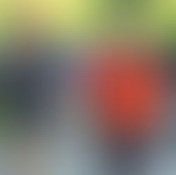 Abendwanderung Männerriege vom 13. Juli