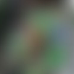 Männerriege mit E-Bikes unterwegs 