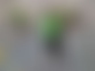 Uslumpete-Turnier Rickenbach